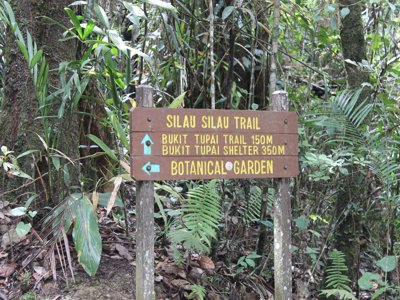 Route Maleisisch Borneo, 24 dagen - Dag 14