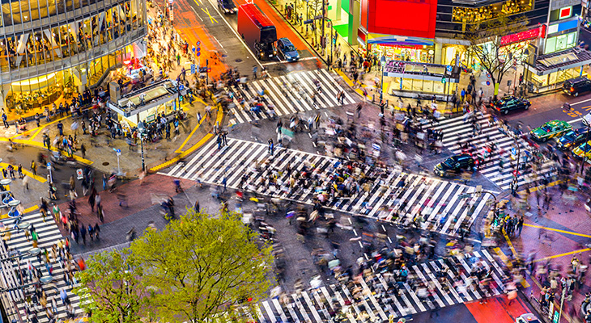 De mooiste stad ter wereld Tokyo