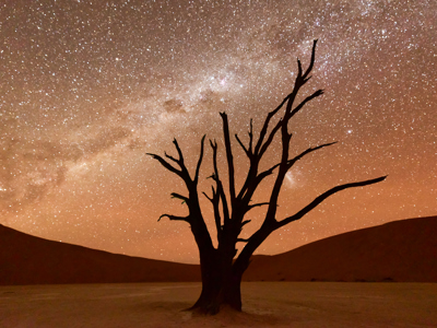 Route Windhoek - Vic Falls - Day 5