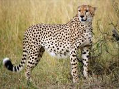 Route Kenia, 16 dagen - Day 4