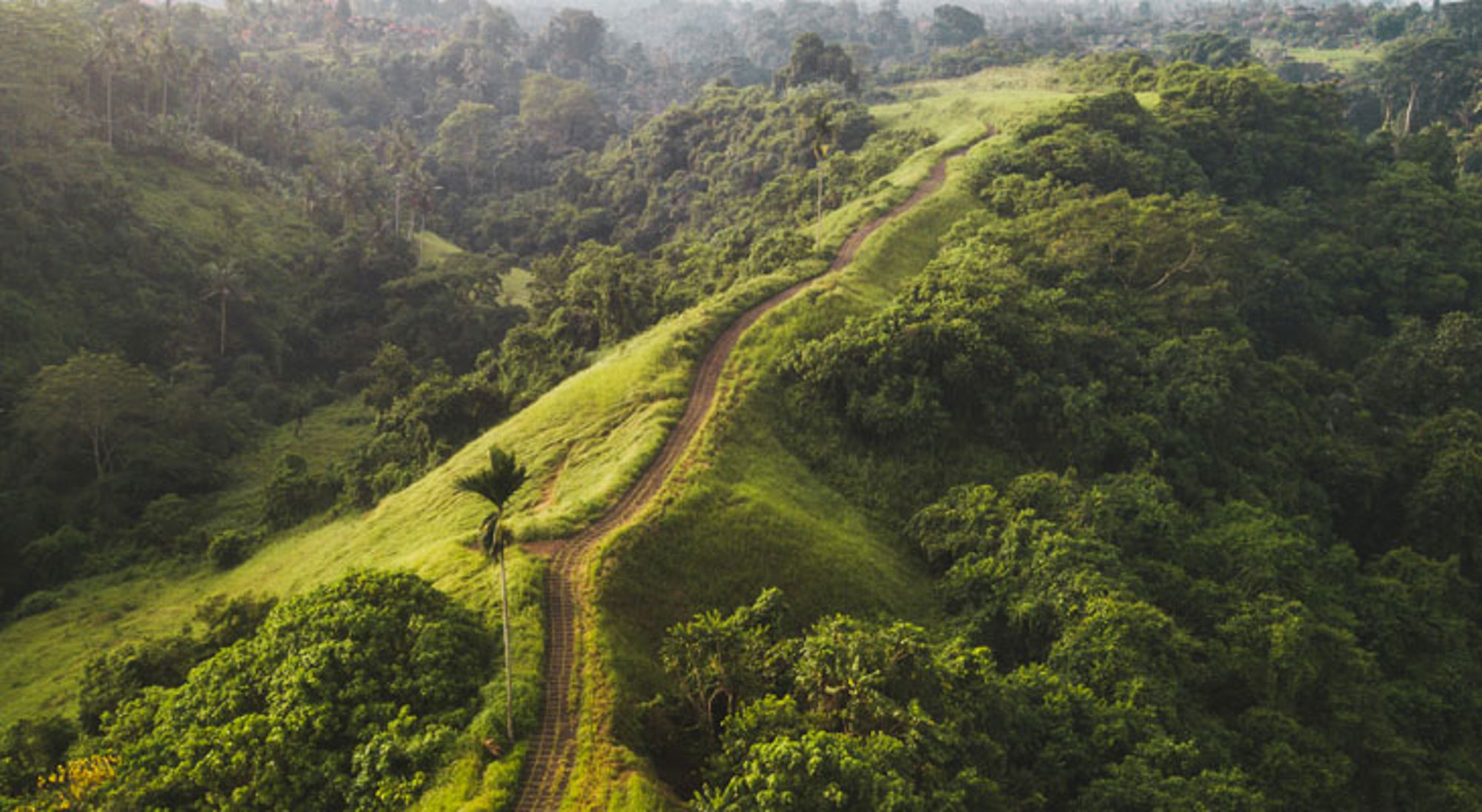  Campuhan Ridge Walk Ubud Indonesië
