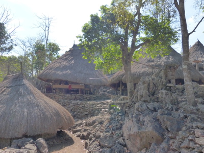 Route Timor, Sumba & Bali, 22 dagen - Day 8