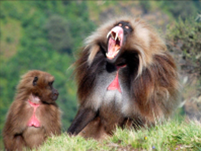 Route Ethiopië, 29 dagen - Day 22