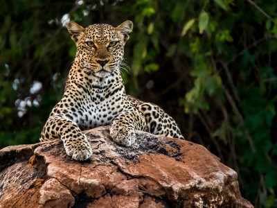 Route Kenia en Tanzania, 19 dagen - Dag 2