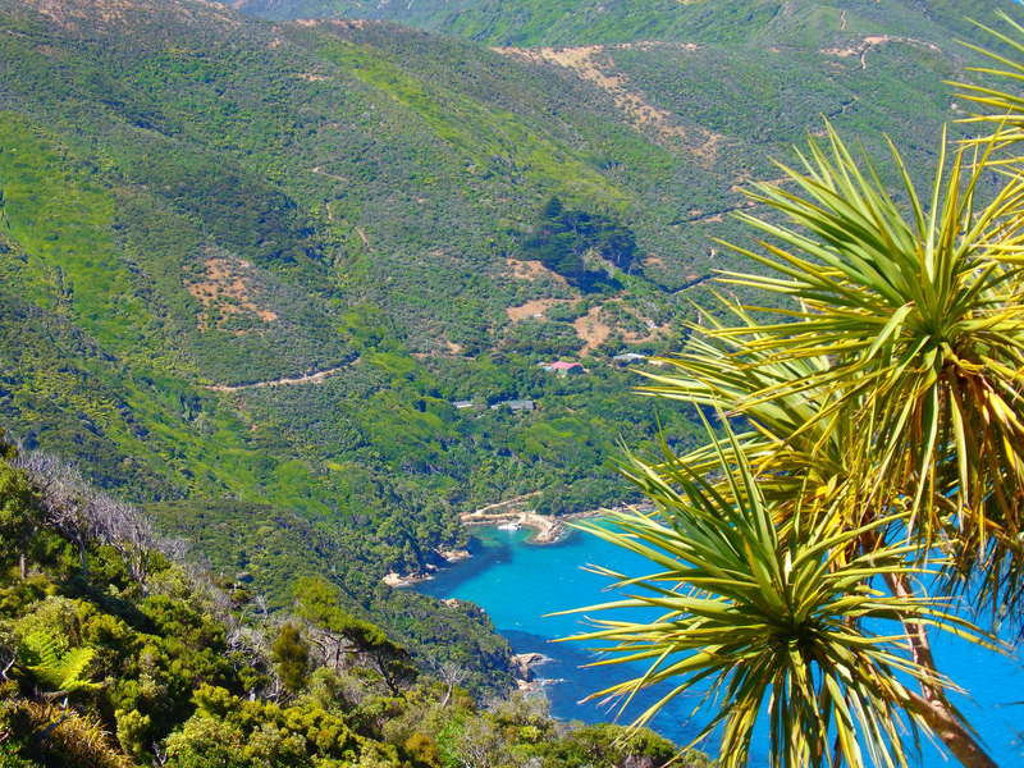 main_Queen_Charlotte_Wilderness_Park_1.jfif