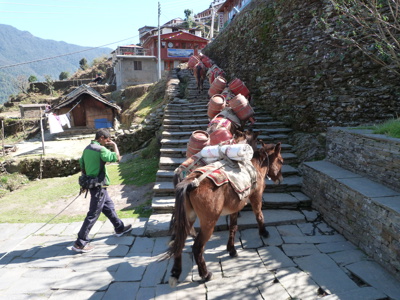 Route Nepal Annapurna, 23 dagen - Dag 13