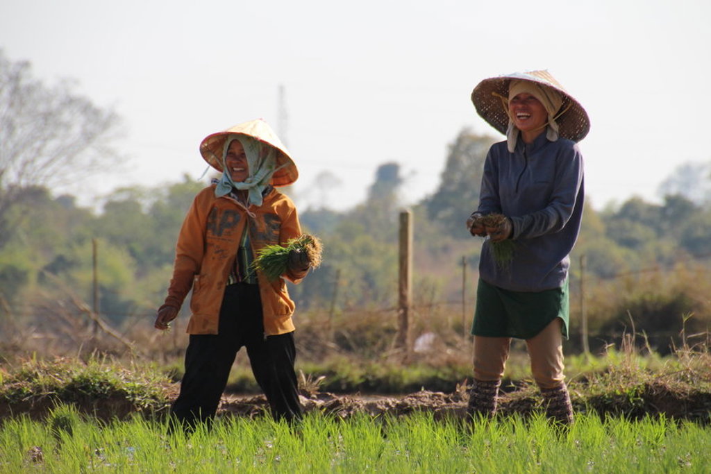 main_IMG_1277.jpg (1)