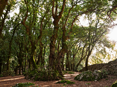 Route 14 daagse wandelvakantie De Centrale Apennijnen - Day 3