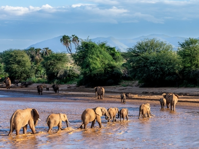 Route Kenia, Tanzania en Zanzibar, 21 dagen - Day 4