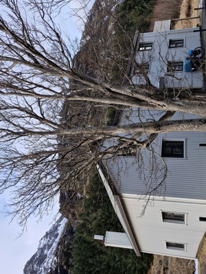 Guesthouse Reynivellir