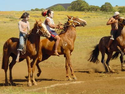 Festivalreis, 34 dagen - Dag 30