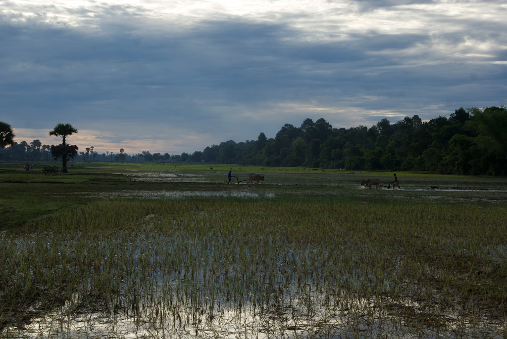 Onderweg van Siem Reap naar Phnom Penh