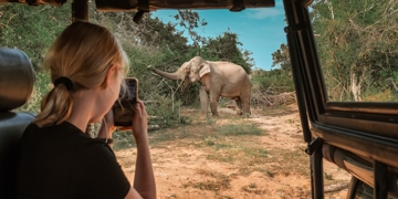 Familiereis Kenia, Tanzania & Zanzibar 16 dagen