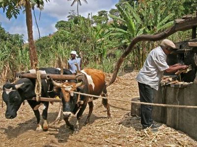 Route Kaapverdische eilanden - Day 10