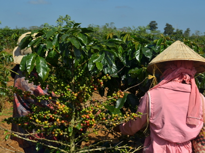 Laos & Cambodja - Dag 19