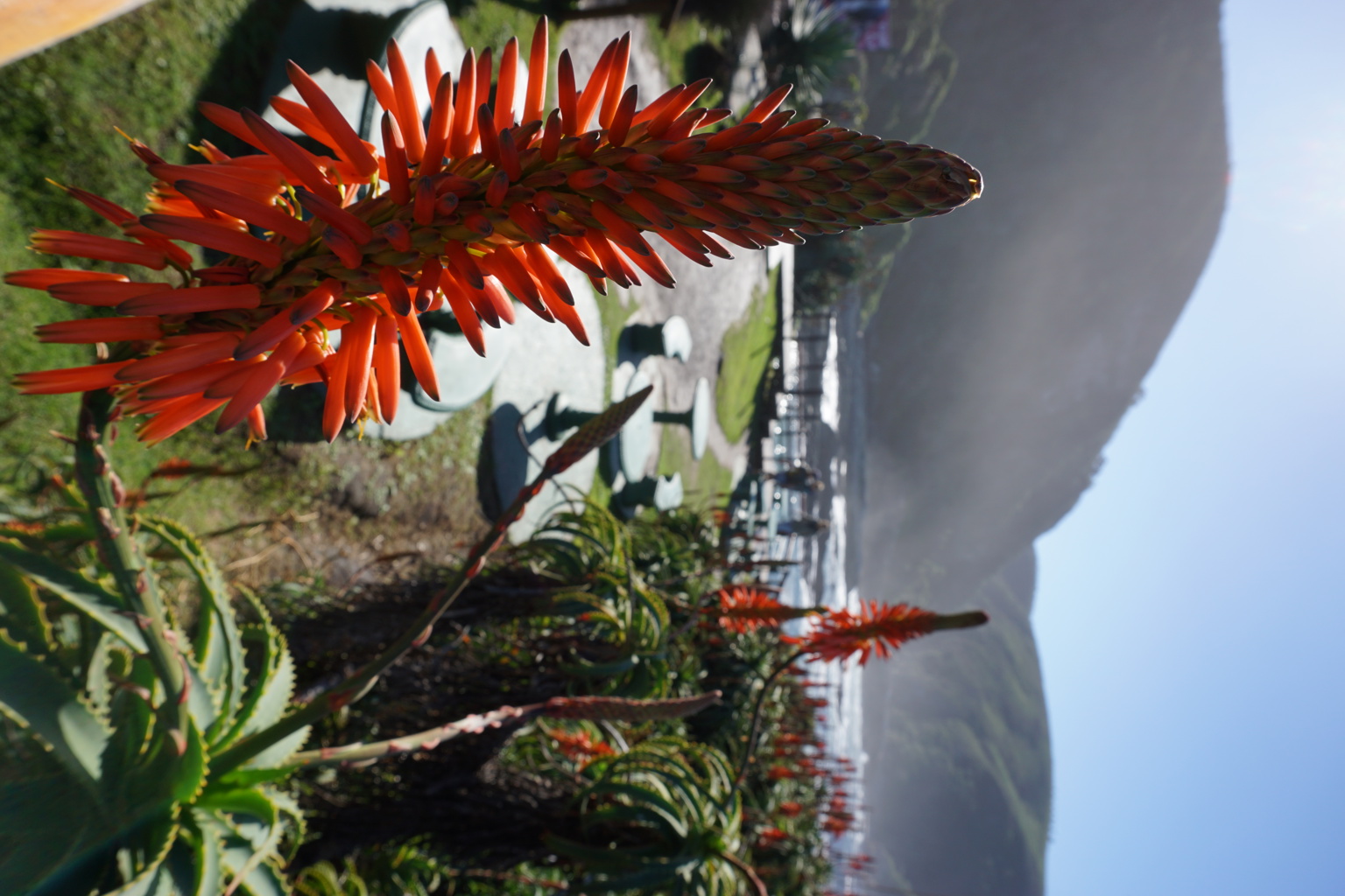 Rondreis Zuid-Afrika