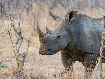 Kenia, Tanzania en Zanzibar, 22 dagen - Dag 7