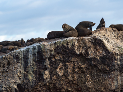 Tuinroute, 18 dagen - Dag 4