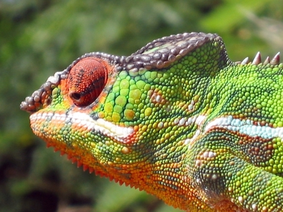 Route Madagascar, 19 dagen - Dag 10