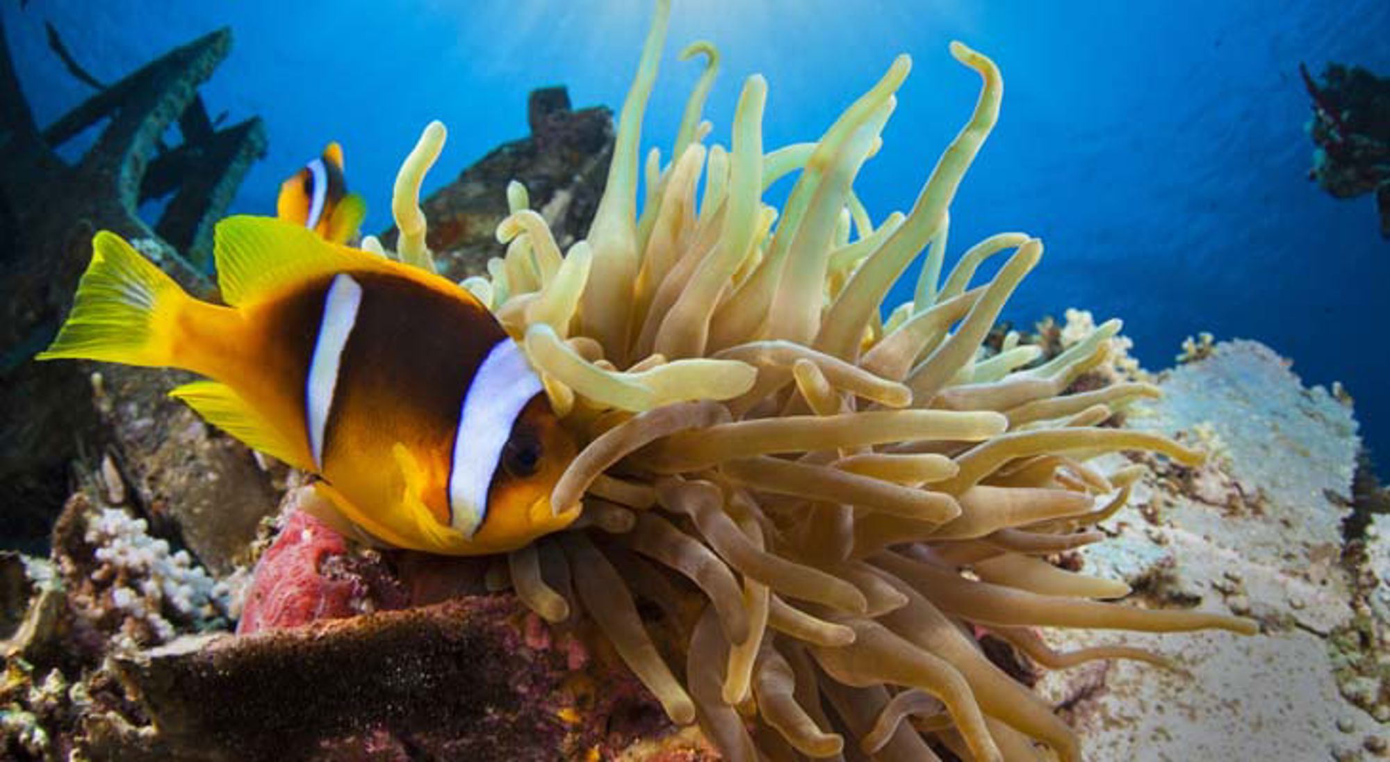 Uitzicht op rotsformaties en woestijnlandschap in Jordanië.