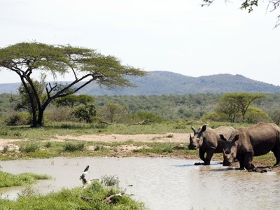Route Zuid-Afrika, 17 dagen - Day 9