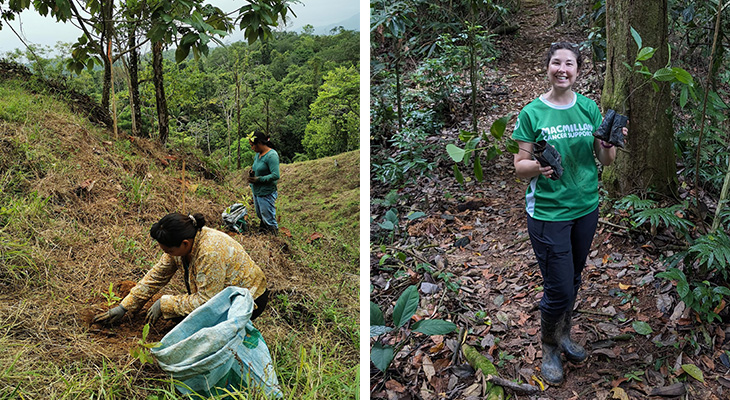Adopteer Regenwoud Adopteer Regenwoud