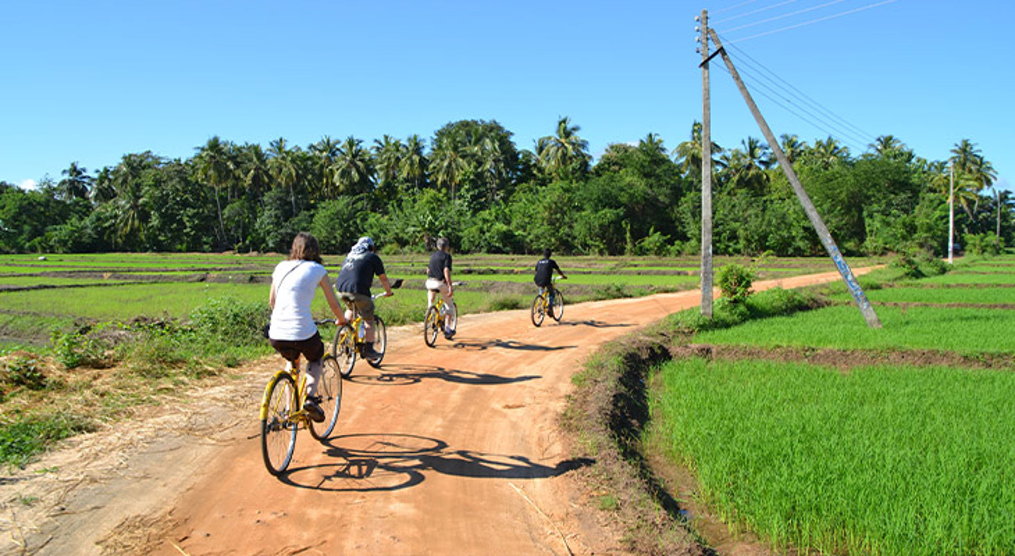 Fietstour bij Polonnaruwa