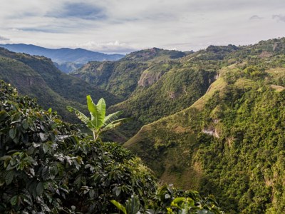 Route Colombia, 21 dagen 2025 - Day 4