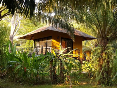Anurak Lodge - Khao Sok Thailand