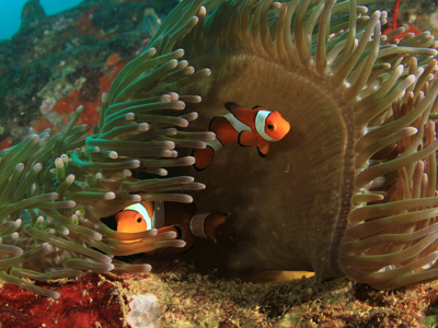 Route West Australië, 25 dagen - Day 7