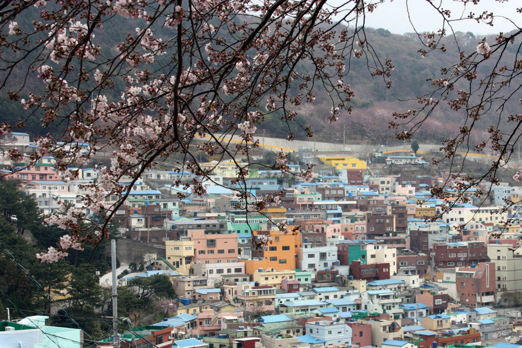 main_Zuid-Korea_-_Busan_-_Gamcheon.jpeg