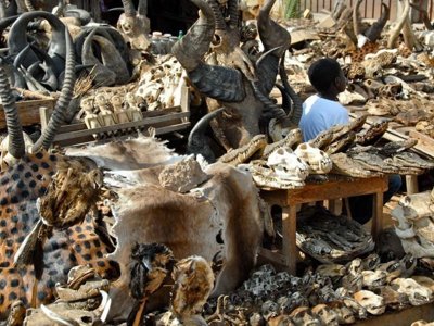 Reisroute Ghana, Togo en Benin - Day 6