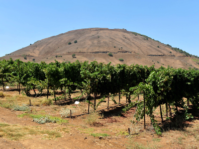 Route Jordanië en Israël, 13 dagen - Day 3