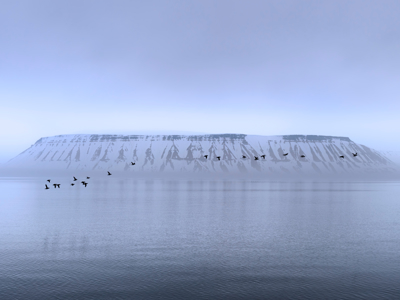 Route 12 dagen Spitsbergen - Dag 3