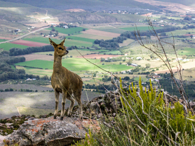 Tuinroute, 18 dagen - Dag 12