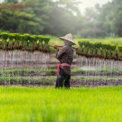 Familiereis Thailand, Laos en Cambodja