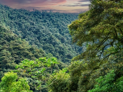 Route Ecuador, 22 dagen inclusief Yarina - Day 8