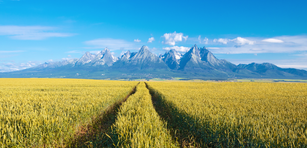 hoge tatra Slowakije