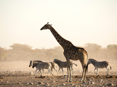 Route Windhoek - Vic Falls - Day 12