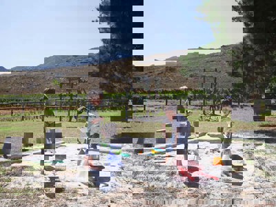 Blue Gum Country Estate