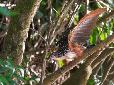 Route Noord-Peru - Dag 4