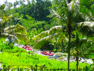 22-35 Indonesië: Java en Bali - Day 12