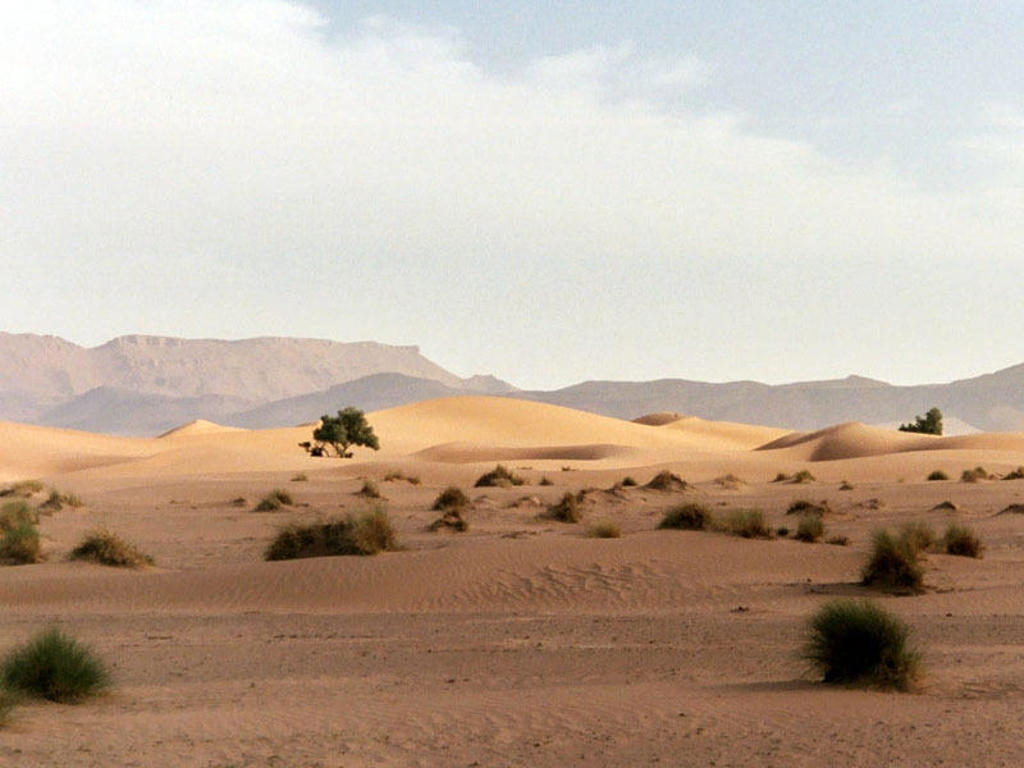 main_10_-_Erg_Chebbi_woestijn.jfif