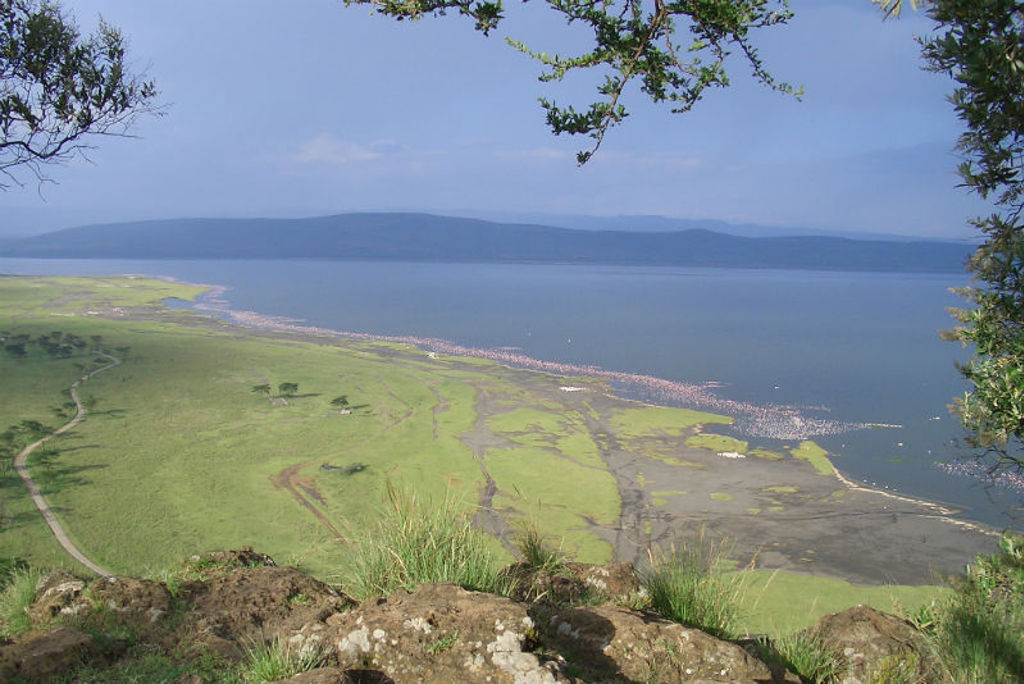 Gamedrive Lake Nakuru