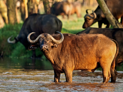 Route 22-35 Kenia & Tanzania, 20 dagen - Day 11