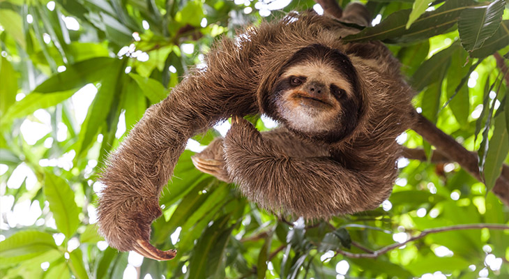 Costa Rica Costa Rica