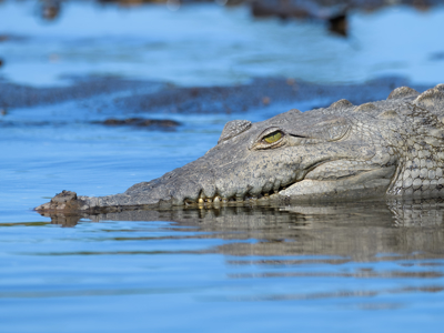 Route Costa Rica, 20 dagen - Day 2