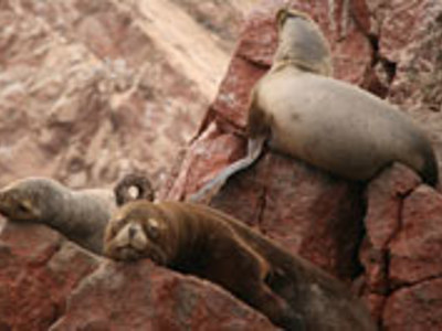 Route Peru 2019, 22 dagen OUD - Dag 3