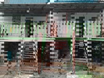 Wilson Bana Stay Maleisië