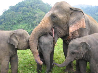 Route Thailand, 21 dagen - Dag 12